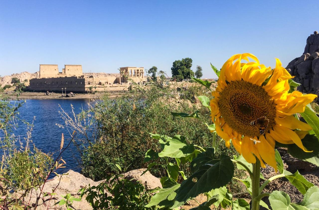 Eco Nubia Villa Aswan Bagian luar foto