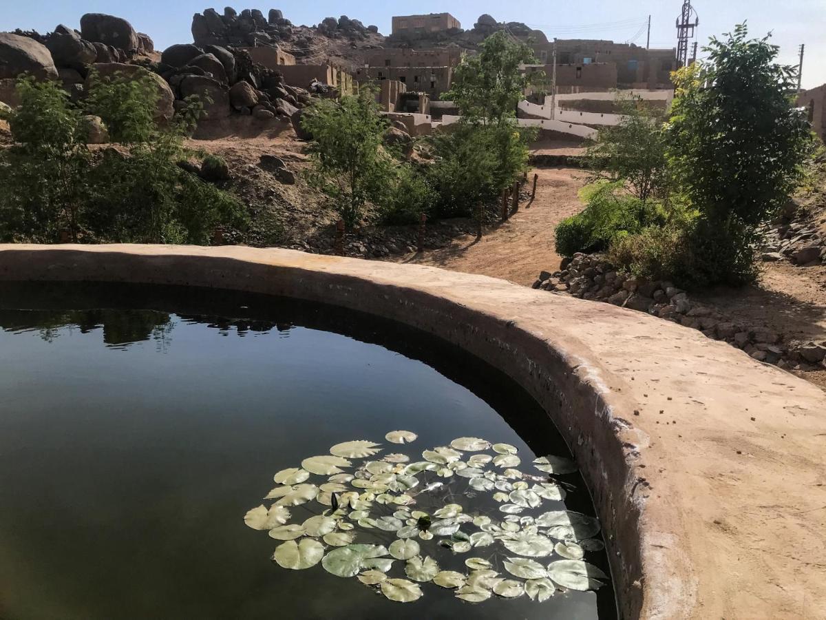 Eco Nubia Villa Aswan Bagian luar foto