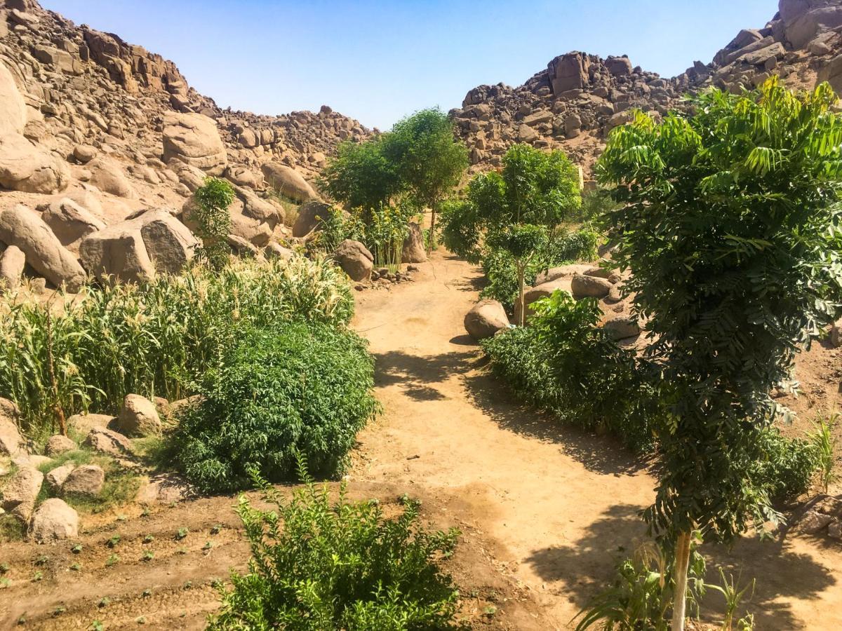 Eco Nubia Villa Aswan Bagian luar foto