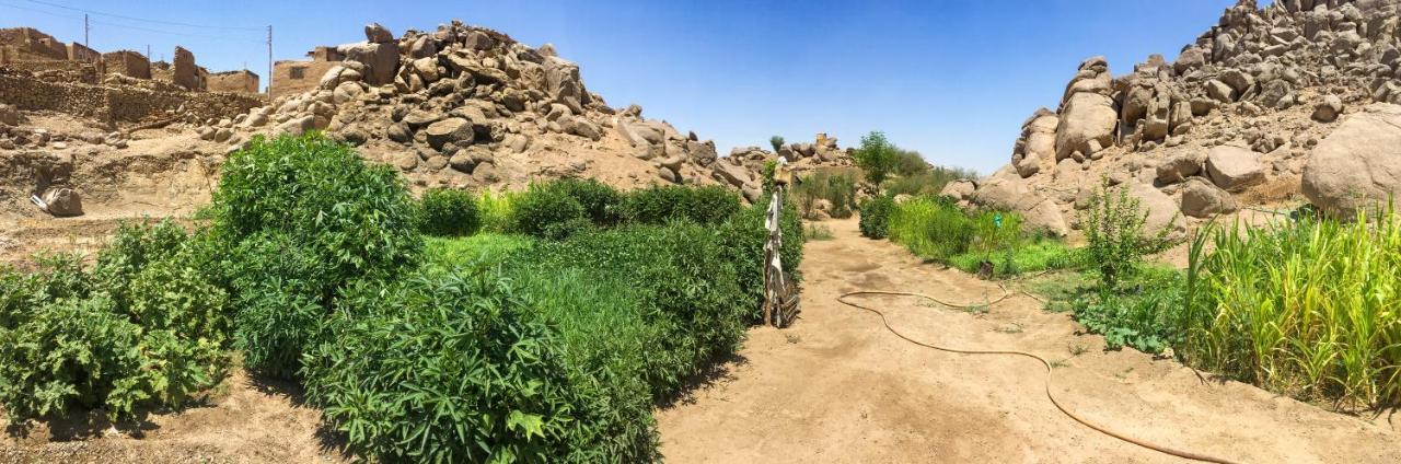 Eco Nubia Villa Aswan Bagian luar foto